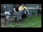 Круто покаталась))