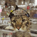 Dj