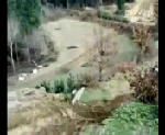 Сельский чемпион по мотокроссу