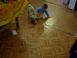 Папа экстремально играет с сыном