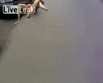 Позор нации