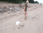 Утро понедельника